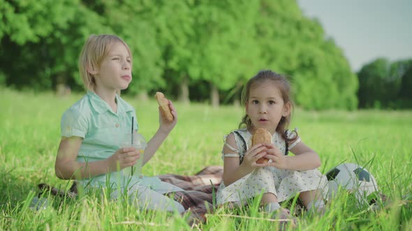 Portrait of Two Charming Children Eating Croissants and Drinking Juice on Sunny Summer Meadow. Blond alt