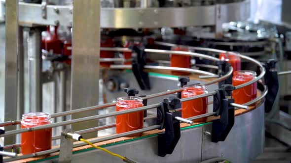 Automatic Line for Processing of Vegetables alt