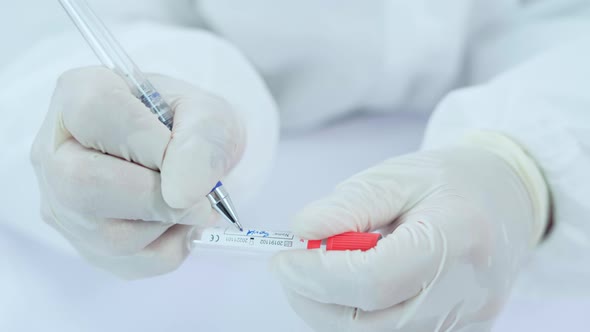 Doctor or Scientist checking sampling blood tube to make a medical diagnosis.