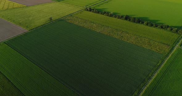 Aerial of Countryside Lifting Camera Moving