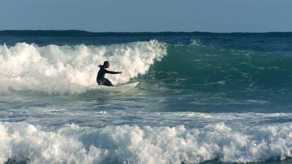 Surfer rides wave, Hawaii alt