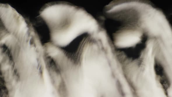 Cinematic Abstract Motion Background (No CGI used) 1261 alt