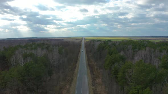 Sky View of Autumn Road with Cars. Aerial View Country Road in Autumn Forest. Autumn Forest and alt