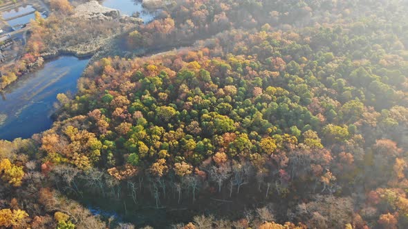 Dreamy Sunrise Above in Autumn Forest Colorful Mist Between Trees on Over Pond alt