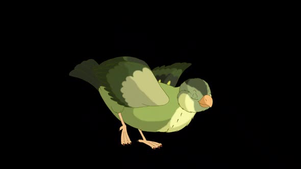 Green wood warber bird say hello alpha matte HD