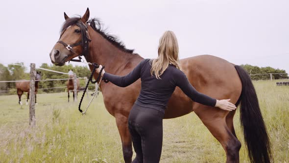 Young Woman In Riding Gear Walking With Horse Through Grass alt