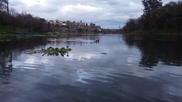 Ducks On The River 4K 06