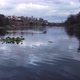 Ducks On The River 4K 06 - VideoHive Item for Sale
