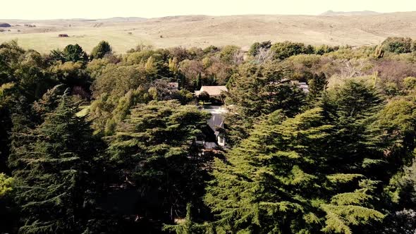 House In The Woods alt