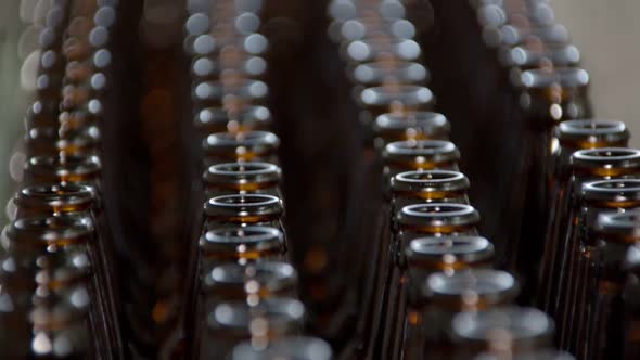 Bottles for Beer Pouring Are Preparing and Transporting, Detail View of Bottle Necks