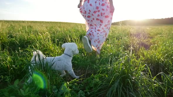 Happy teenager woman walks with her beloved dog across the field. alt