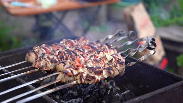 Close Up of Toasted Shashlik on Skewers. Succulent Barbecue Roasting on Chargrill. Concept of Picnic alt