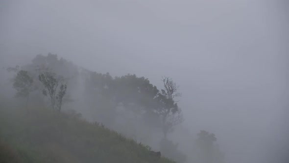 Slow motion landscape view of greenery rainforest mountains on foggy day