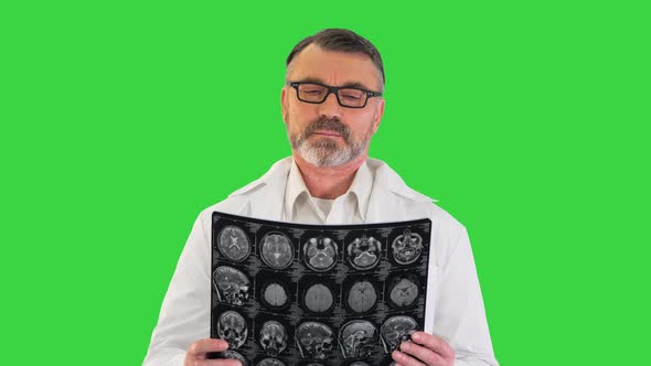 Concentrated Doctor Examining Head Brain x Ray Picture on a Green Screen, Chroma Key. alt
