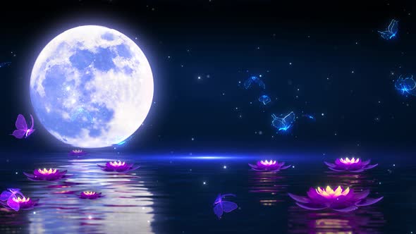 Water Surface Moon Butterfly Lotus Particle Rising Background