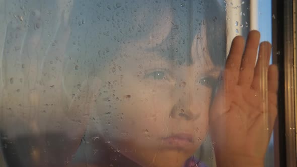 Sorrow by the window.  alt