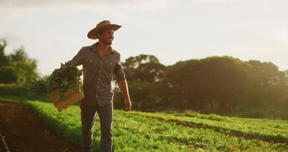 Happy young farmer walking in fields