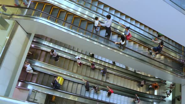 Several Escalators in a Shopping Center