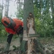 Female Logger in the Forest Young Specialist Woman in Protective Gear Cuts a Tree with a Chainsaw - VideoHive Item for Sale