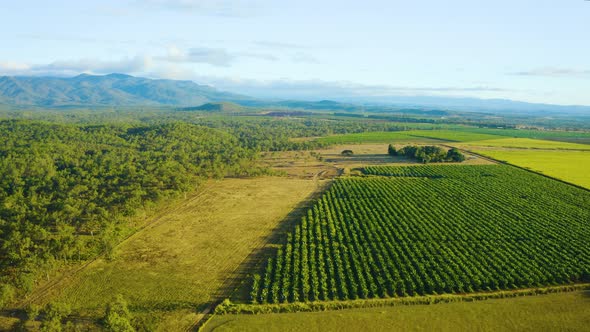 Aerial, Gorgeous View On Tablelands And Plantations  In Queensland, Australia