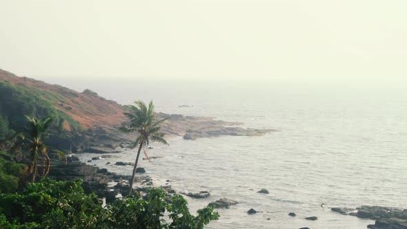 Wide angle of beach and palm trees alt