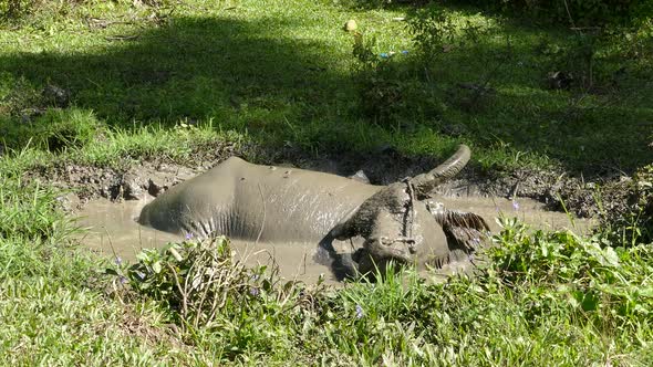 C76797e7 6bb1 40de 8bb3 25ff56b4d60c alt