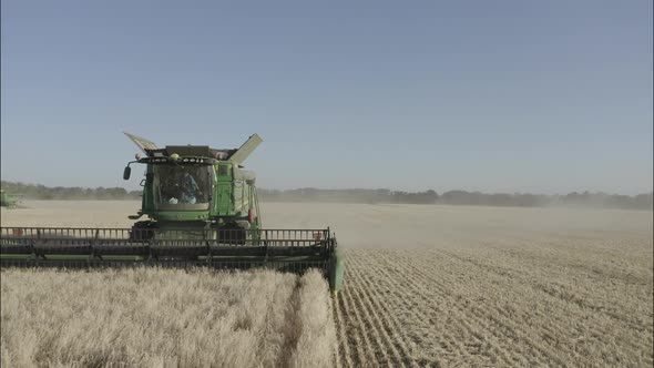 Combine Harvesting Wheat Top View of a Wheatfield alt