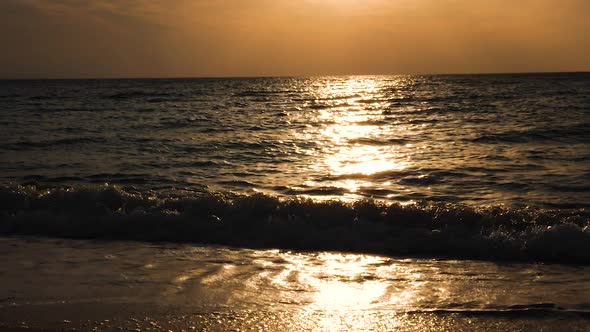 Sea at the Sunrise with Sun Rays Reflection on the Water alt