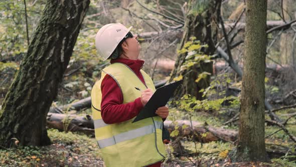 Female Ecologist Documents Damage to Forest After Hurricane Felled Trees Around alt