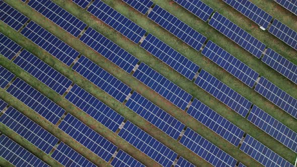 Aerial Birds Eye View Over Rows Of Photovoltaic Solar Panels Generating Clean Energy From Sun. Pedes alt
