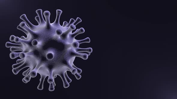 Virus in Xray Seamless Loop with Alpha Matte