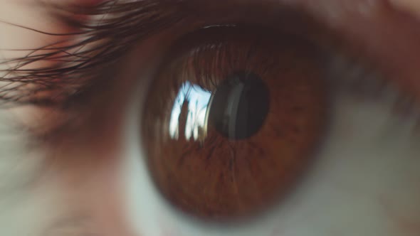 Perfect Brown Eye Macro in a Sterile Environment and Perfect Vision alt