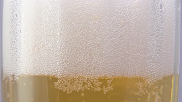beer bubbles in a glass close-up. timelapse