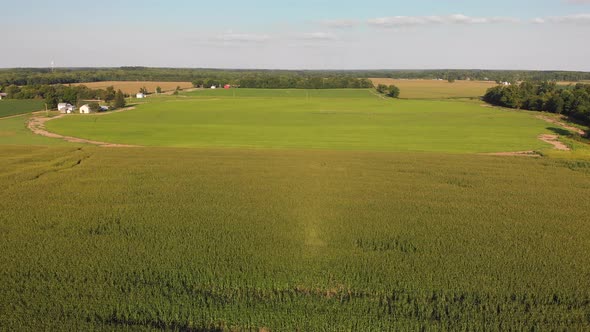  Aerial View Of Beautiful Farm Fields. Summer Landscape