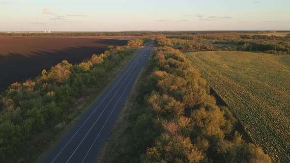 Cars Drive on Highway in Countryside alt