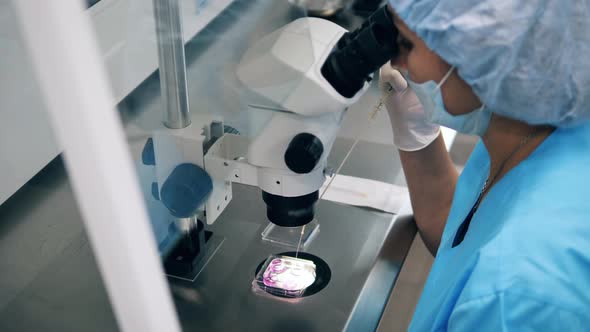 Woman Uses Medical Tools While Working with Fertilized Cells. alt