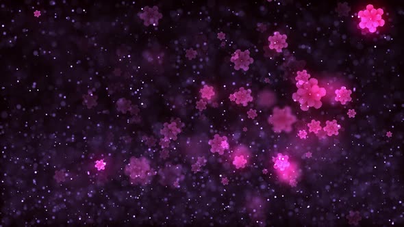 Chinese Flower Blossom Background V3 alt