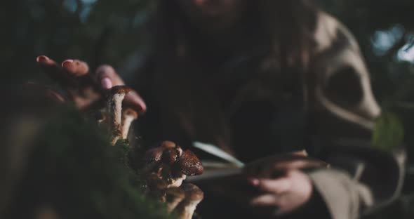 A young biologist girl studying and writing notes about the wild mushrooms alt