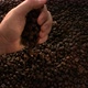 Coffee Beans - VideoHive Item for Sale