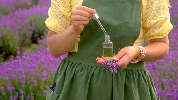 A Woman Collects Lavender Flowers for Essential Oil