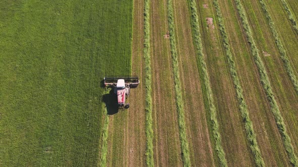 Nice Aerial View of a Combine Harvester in a Field That Mows Green Grass alt