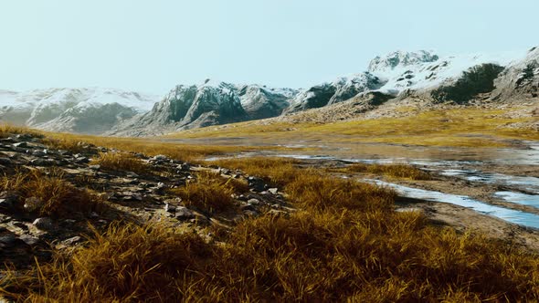 Dry Grass on the Mountain with Fog alt