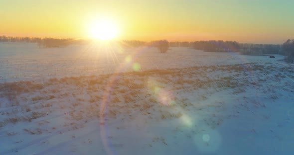 Aerial Drone View of Cold Winter Landscape with Arctic Field, Trees Covered with Frost Snow and alt