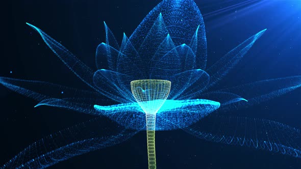 Blue lotus particles loops