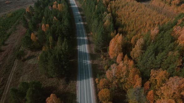 Road and moving cars between colorful autumn forest in Ural