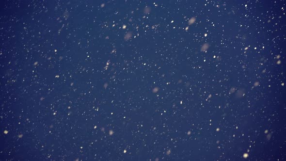 Snow Falling Down at Night