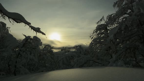 Tranquil winter landscape alt