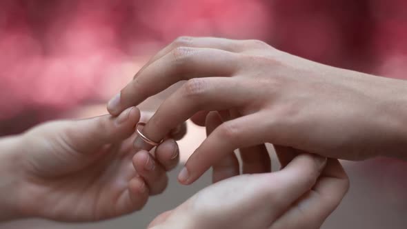 Lesbians Wearing Rings on Ceremony, Wedding of Same-Sex Love Partners, Close-Up alt