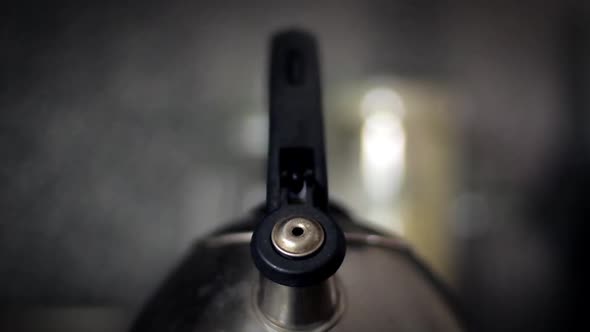 Whistling Kettle in the Kitchen. alt