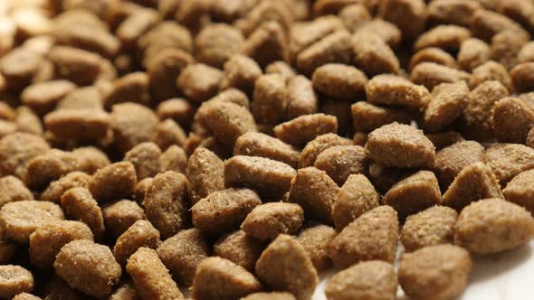 Food pellets for cats or dogs close-up 4K 2160p 30fps UltraHD panning footage - Dry meal animal meal alt